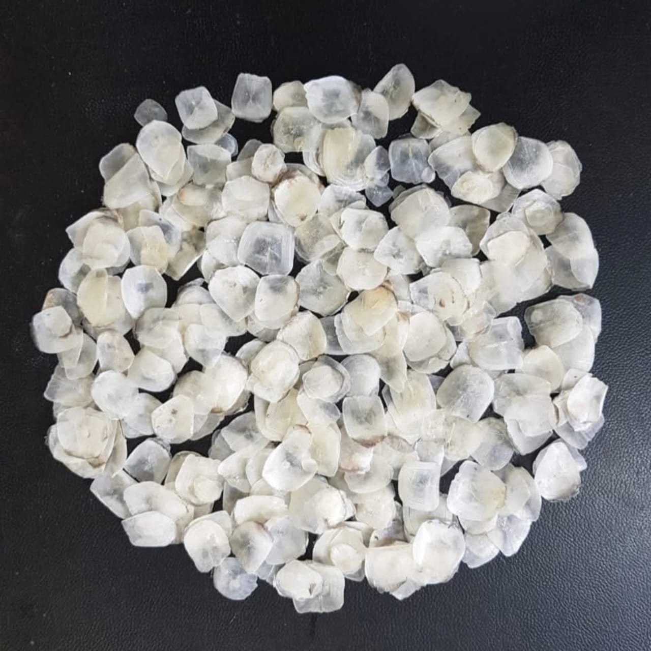 Dried Fish Scale