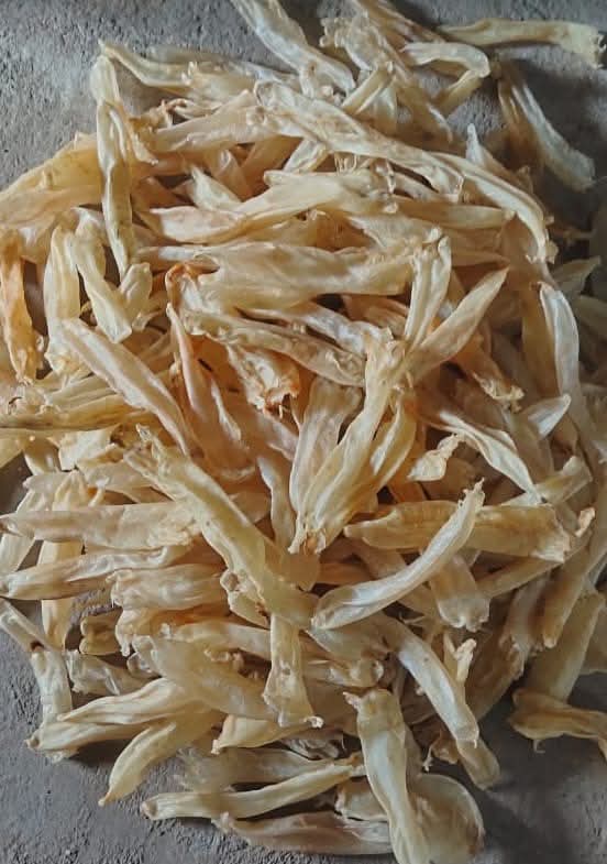 Dried Fish Maw