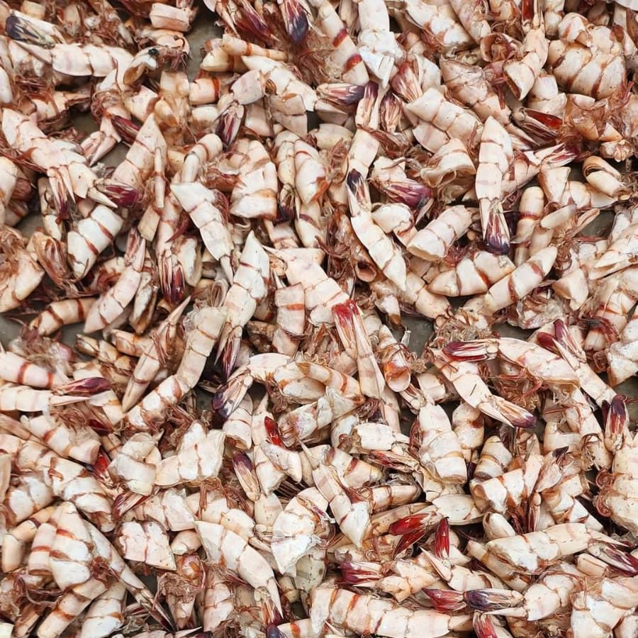 Dried Shrimp Shell