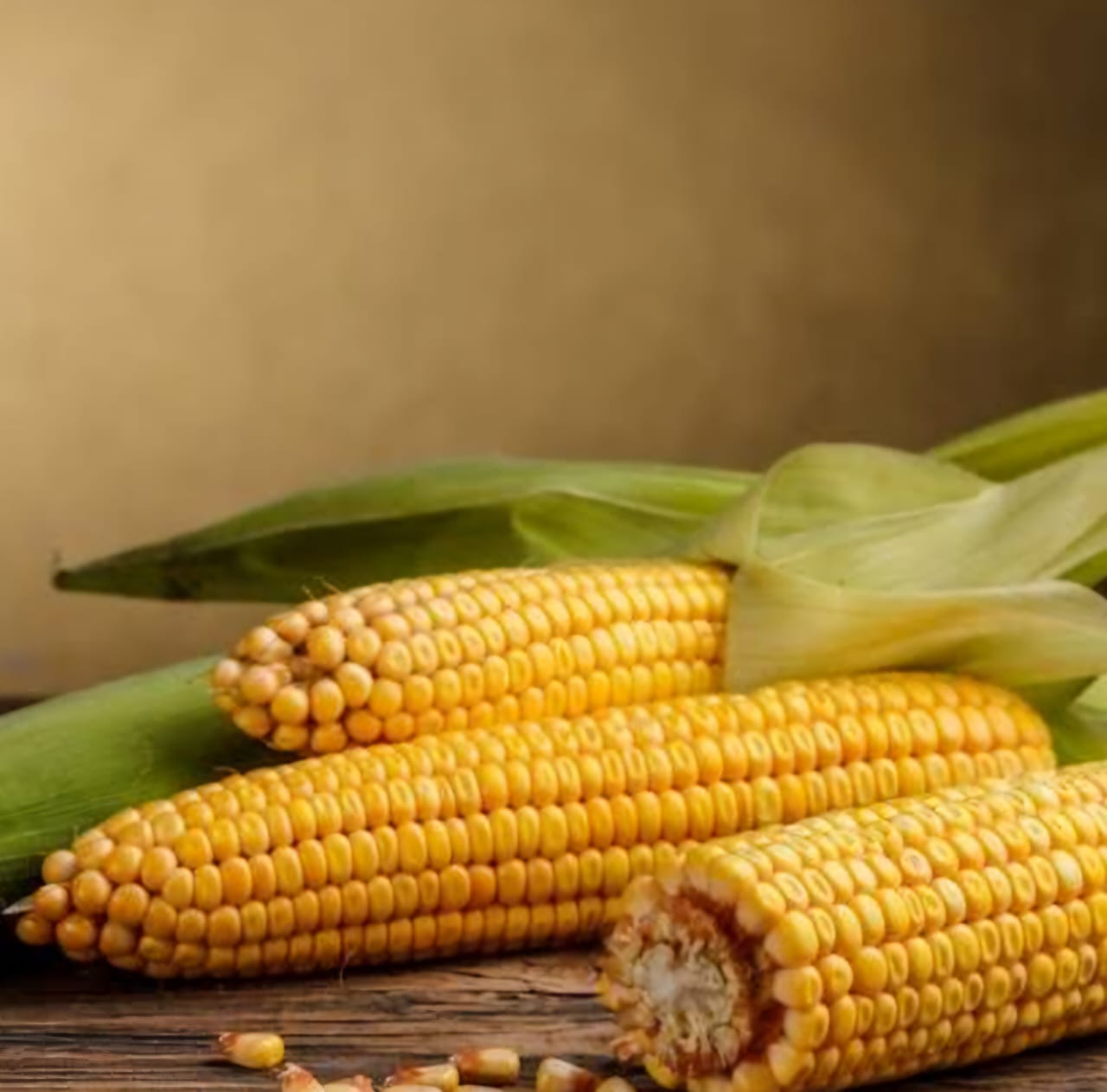 Maize